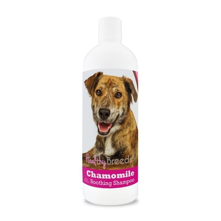 Healthy Breeds 8 oz Plott Chamomile Soothing Dog Shampoo 192959000498
